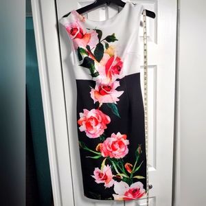 Joseph Ribkoff Collection New With Tags Women's size 4 Floral Sleeveless Dress